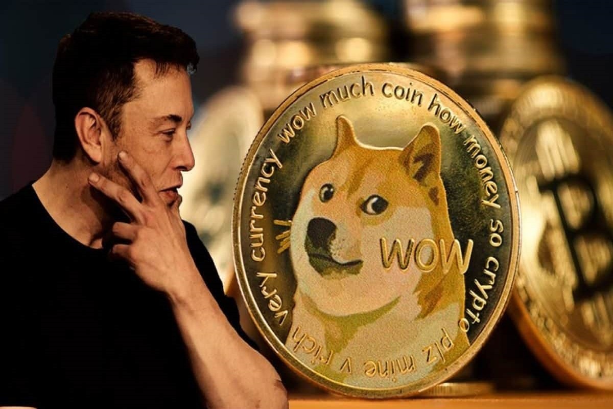 Dogecoin DOGE Rich List Elon Musk Holds DOGE Nation Online
