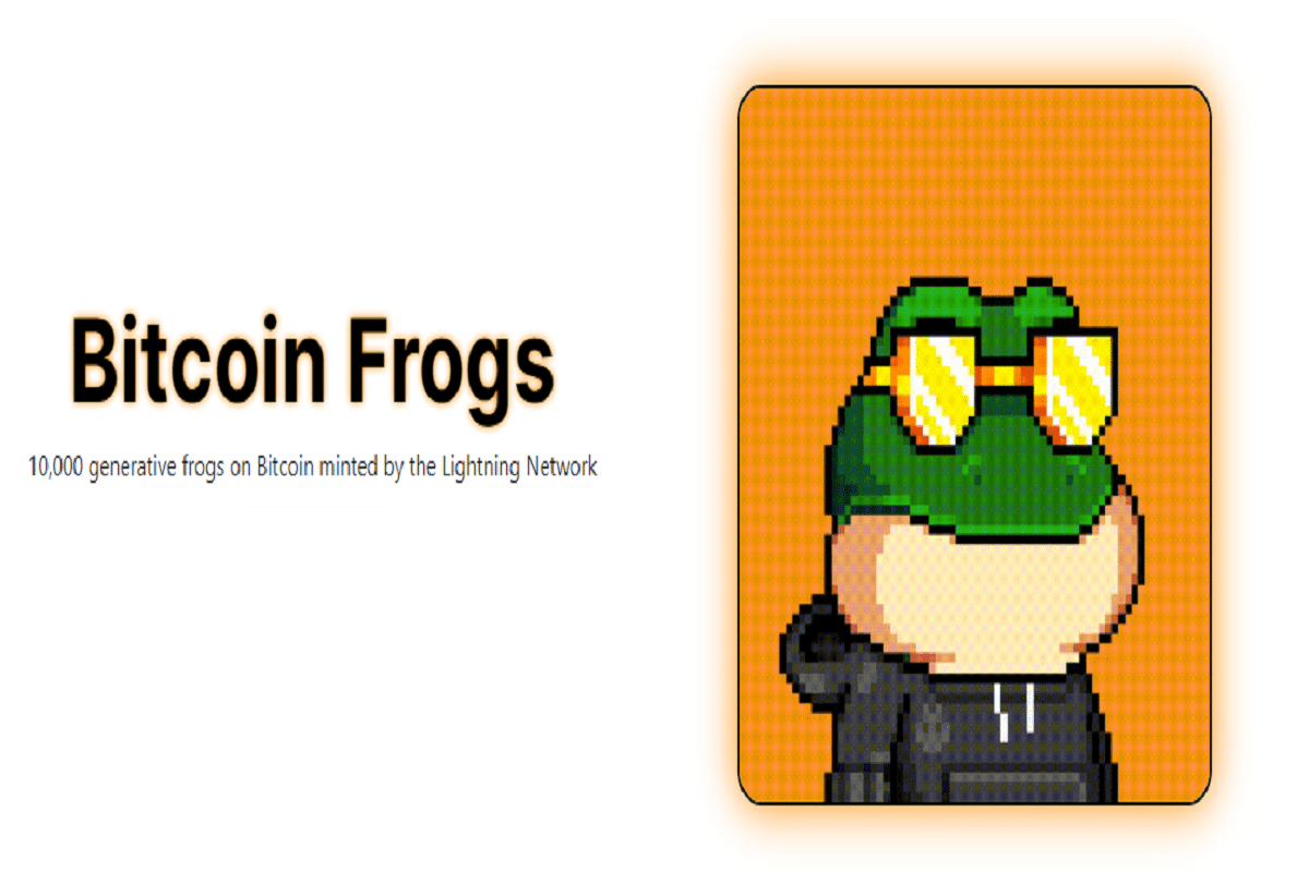 pepe coin news price bitcoin frog