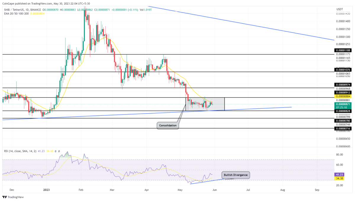 Shiba Inu Price Analysis