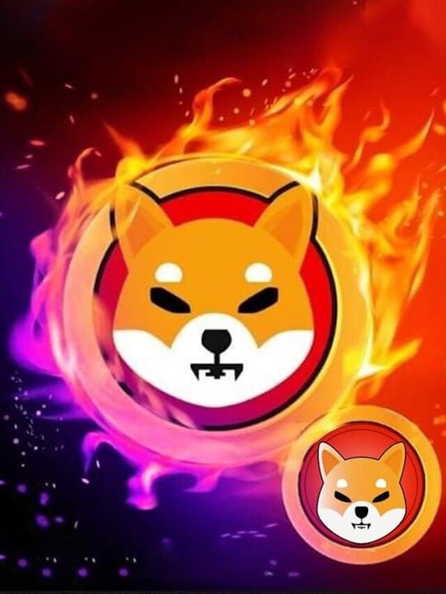 shib_burn_rate_up_by_39k_720