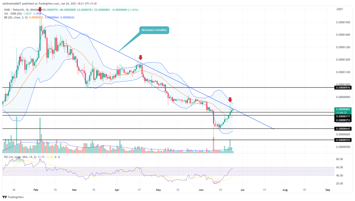 Shiba Inu Price Analysis