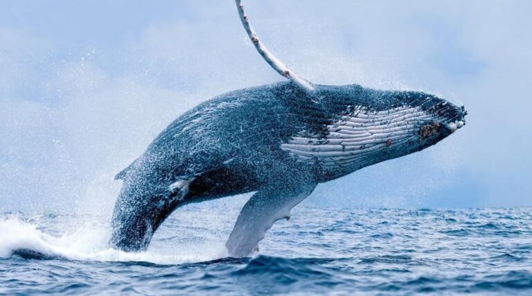 Kraken Receives 34 Million USDT from Two Mysterious Addresses