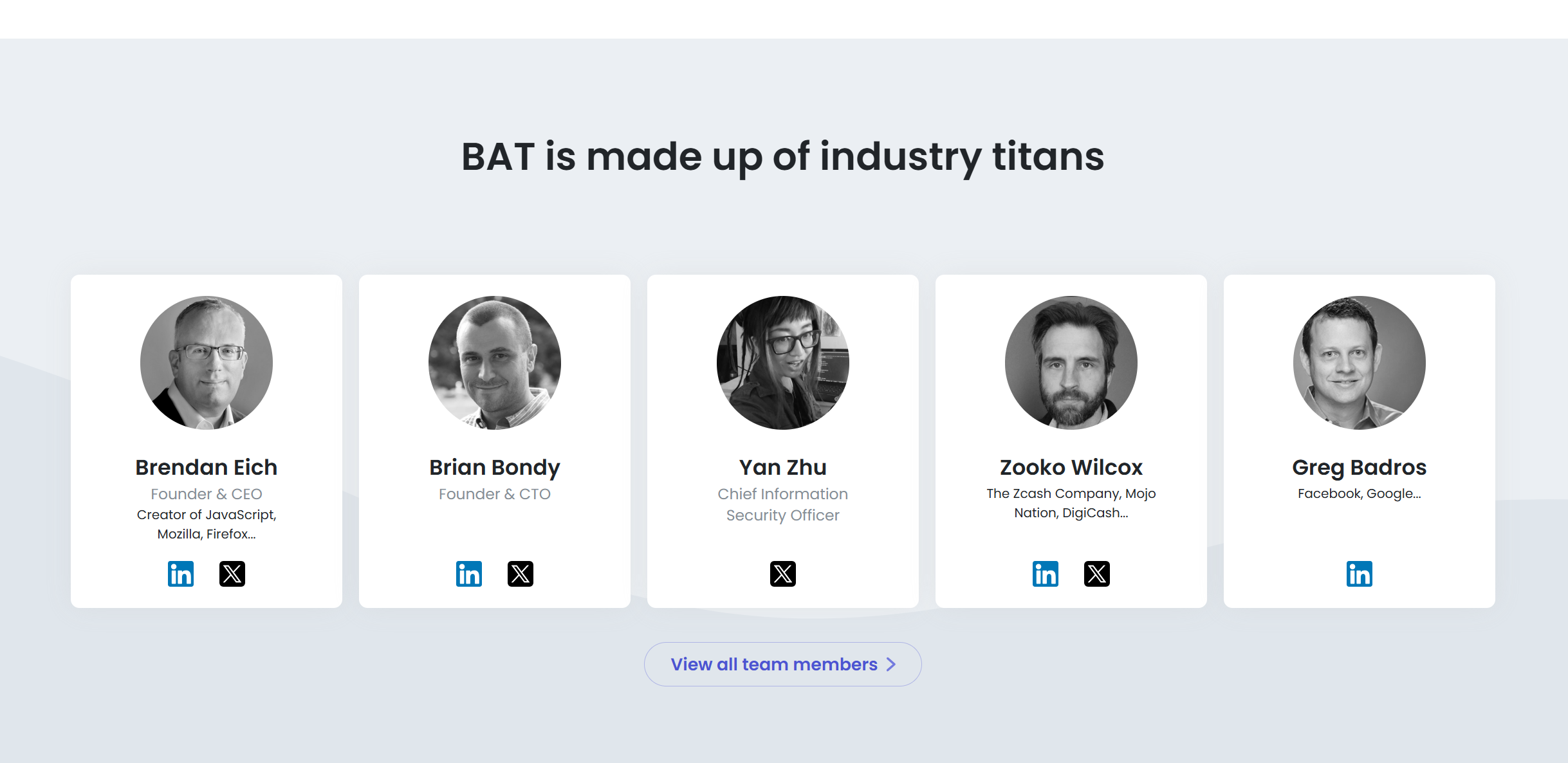 Basic Attention Token Team