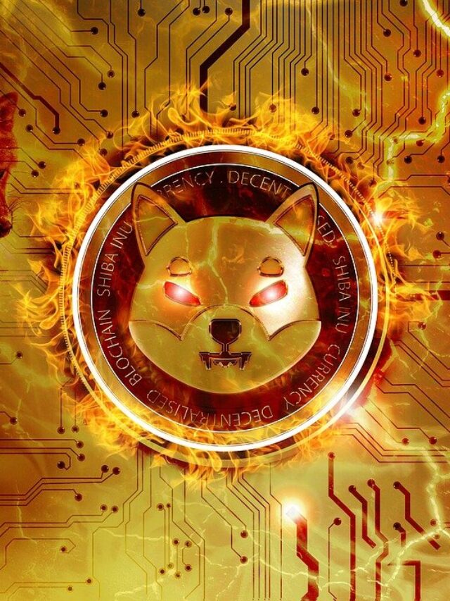 BONE on Binance DeFi Sparks Imminent Listing Buzz.