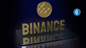 BNB Coin Price: Will BNB Coin Recover In 2024?