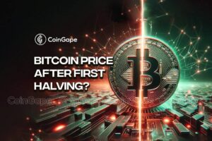 What Happened to Bitcoin Price After First Halving?