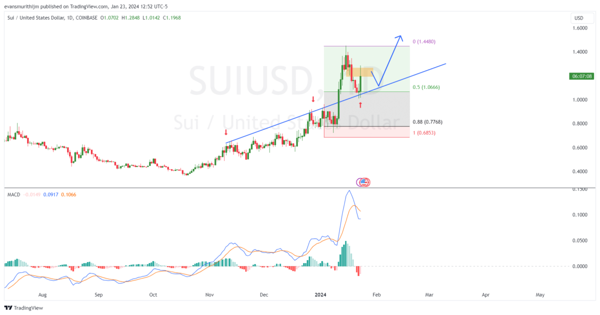 Sui price prediction