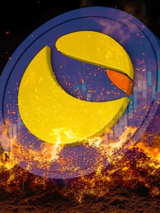 We-will-burn-MILLIONS-of-LUNC