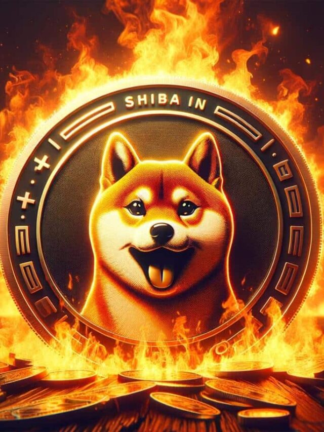 shiba-inu-burn