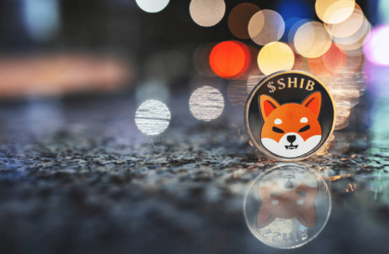 Shiba Inu Burn Rockets 5100%, SHIB Price Braces For Rally?