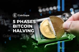 Bitcoin Halving Phases : 5 Phases of Bitcoin Halving Explained
