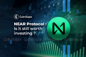 NEAR Protocol: Is It Still Worth Investing In 2024?