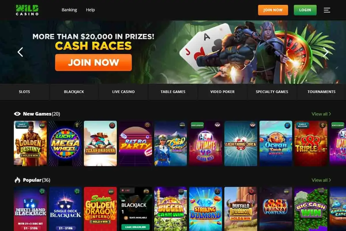 Wild Casino platform
