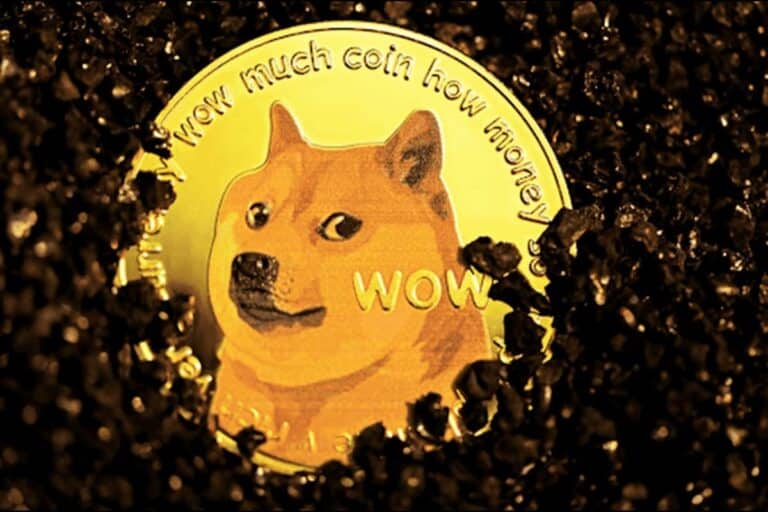 Dogecoin price DOGE Whale