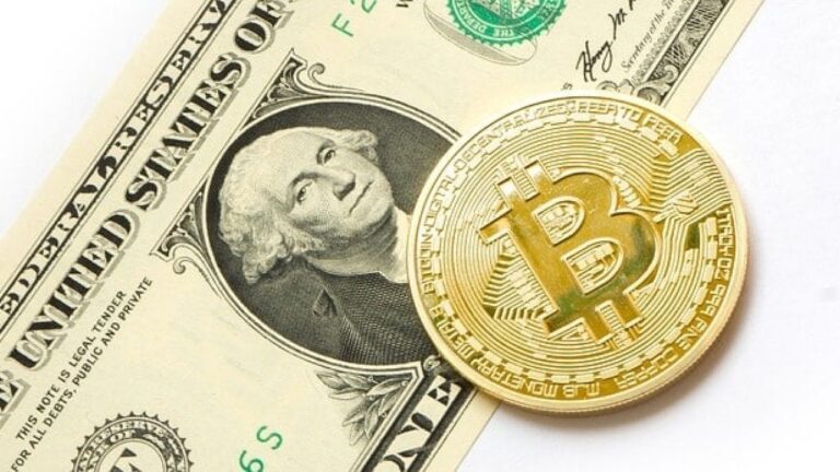 Bitcoin Maxi Reveals Why BTC Will Outperform USD By 100x