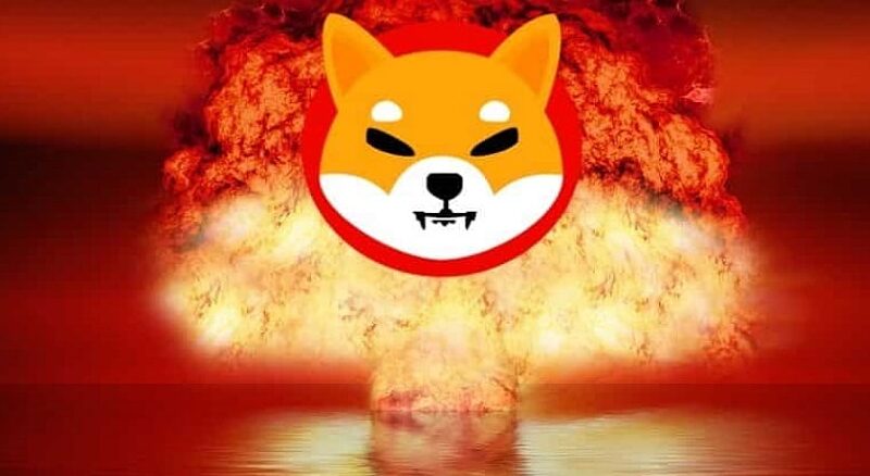 Shiba Inu Update: SHIB Exec Fumes At Elon Musk Over X's Security Concerns