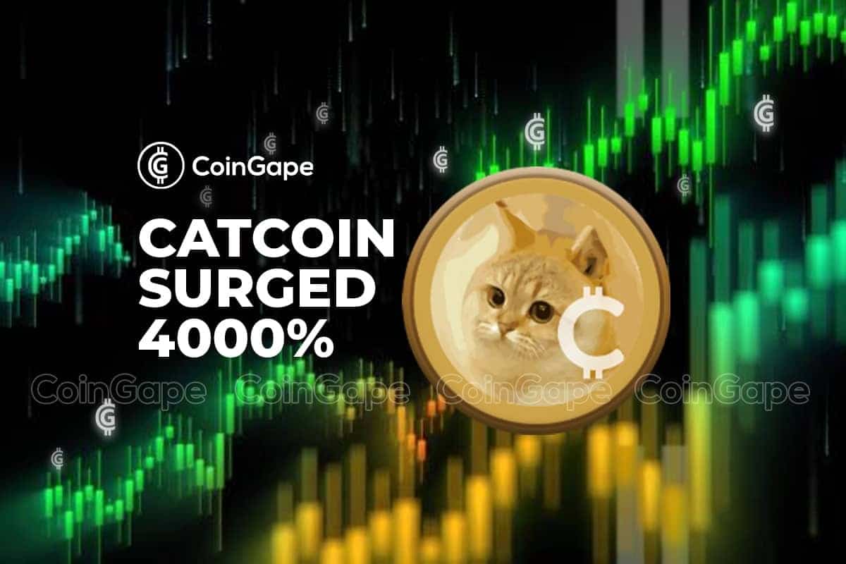 CatCoin Price Surged 4000% Amid Market Volatility; What's Happening?