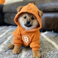 Dog-(Bitcoin)-price-chart