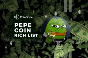 PEPE Coin Rich List