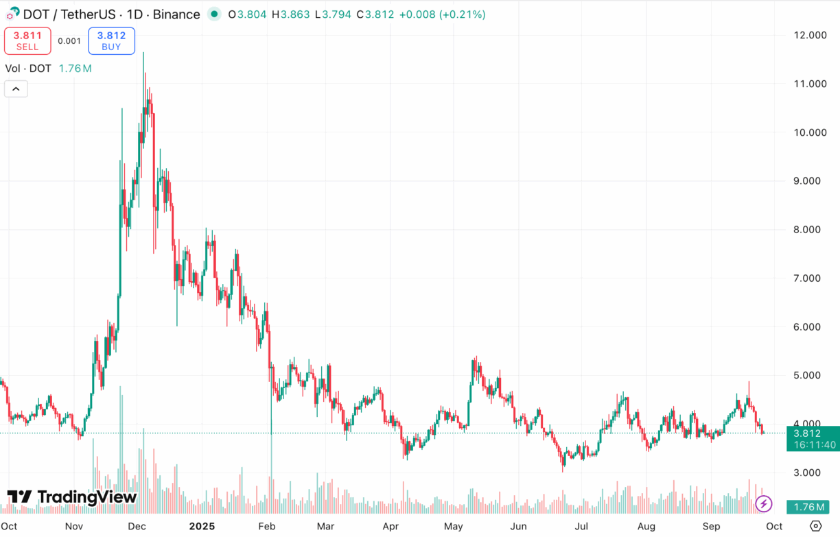 Top 12 Coins for Long Term Crypto Investment