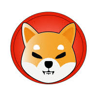 Shiba-Inu