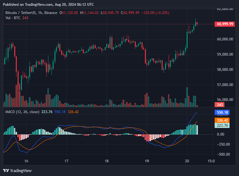 BTC price chart | Tradingview