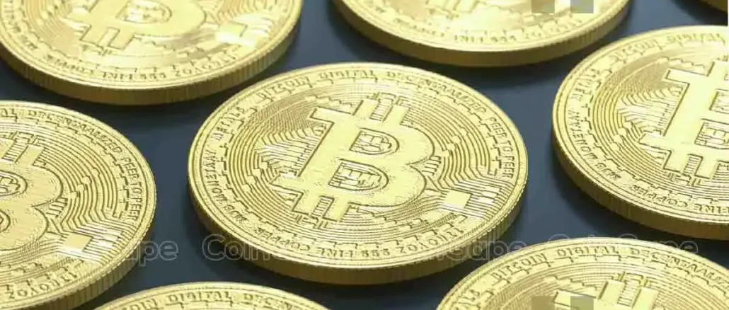 Crypto Updates For This Week: CZ Released Prison, BTC & Shiba Inu Coin Bullish