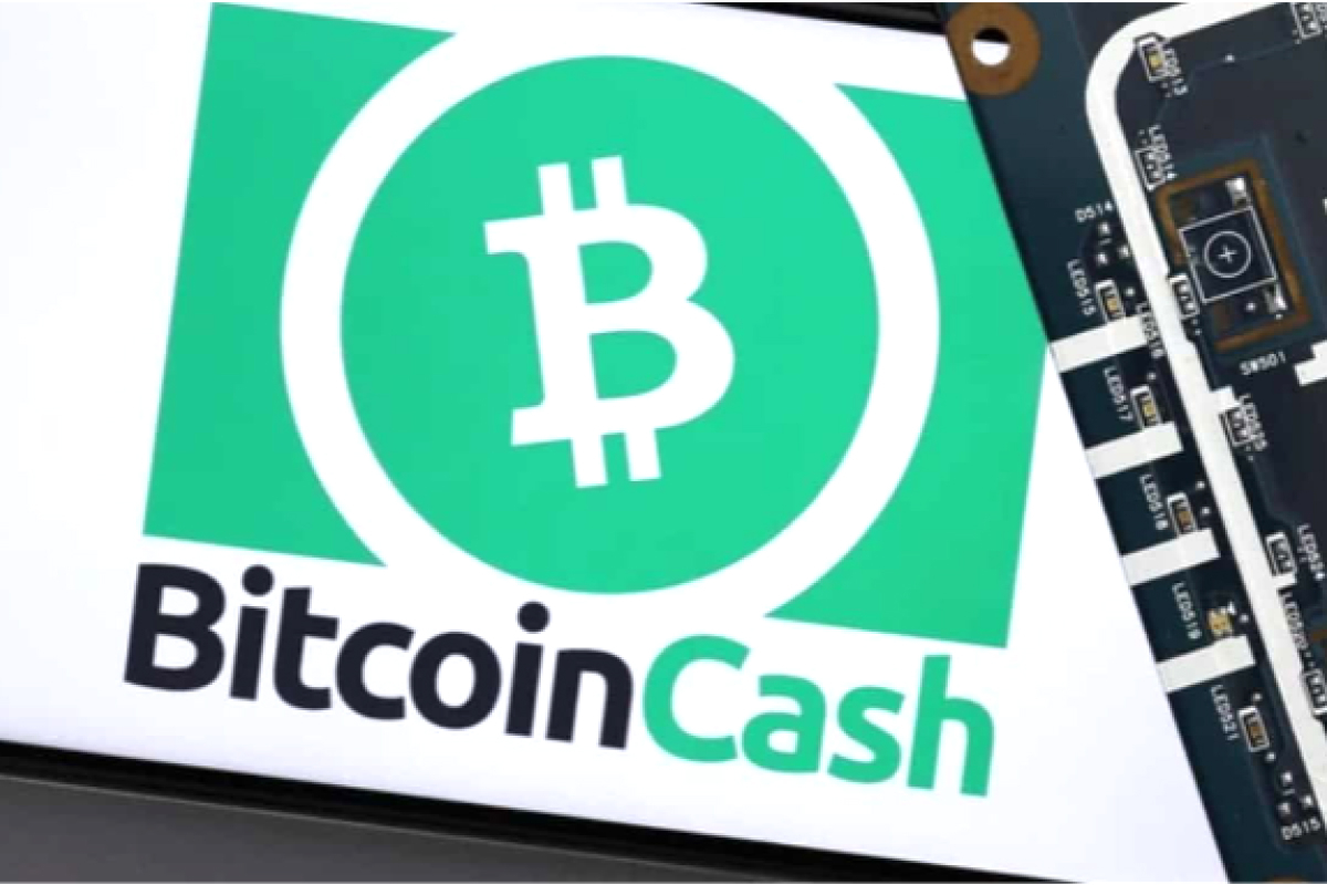 The Rise of Zig Network (ZIG): Attracting Investors from Kusama (KSM), and Bitcoin Cash (BCH)