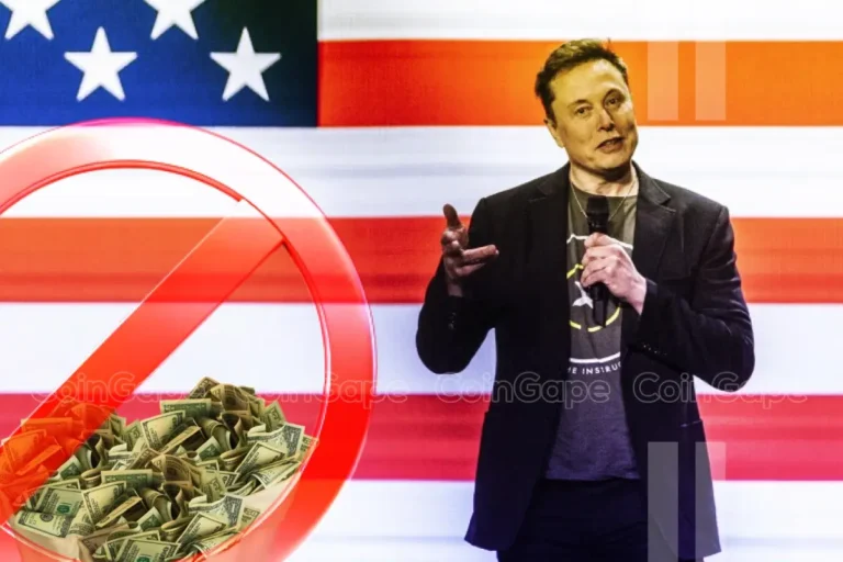 US Election: Elon Musk Wins Lawsuit Over PAC's $1M Voter Giveaway