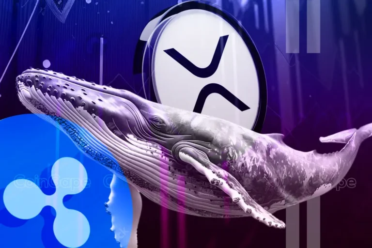 Massive Whale XRP transfers spark speculation