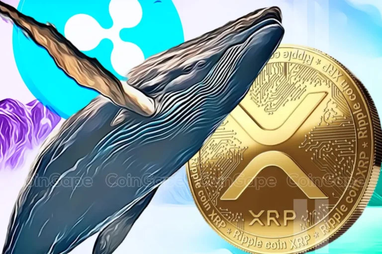 XRP Whales Moves 139M Coins As Ripple Case Near Potential End