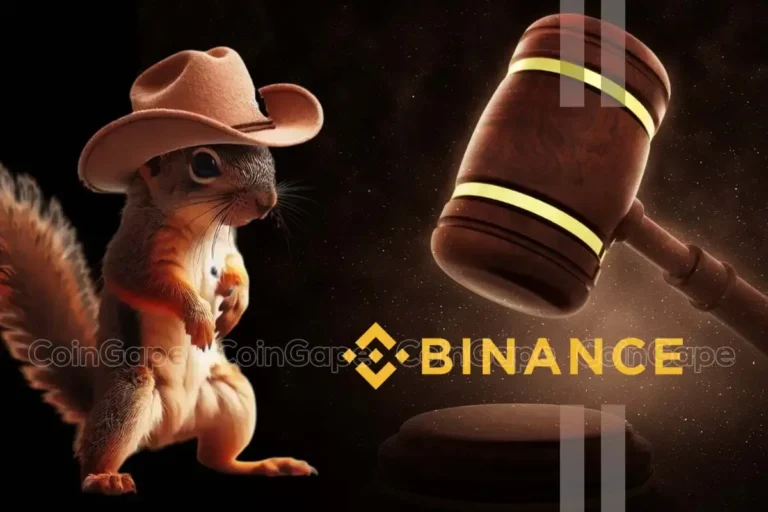 Peanut the Squirrel Case: Why Owner Takes Binance to Court PNUT