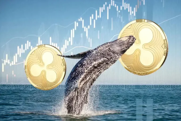 XRP News: Ripple Whales' Massive Buying Hints At Rally To $3