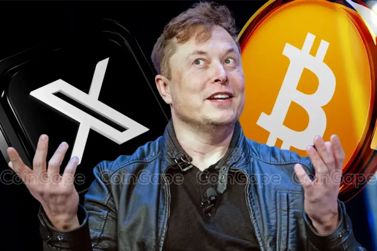 Bitcoin and Elon Musk