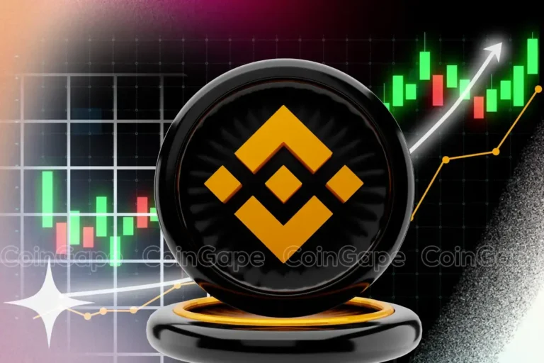 Why is Binance Coin (BNB) Price Falling Suddenly?