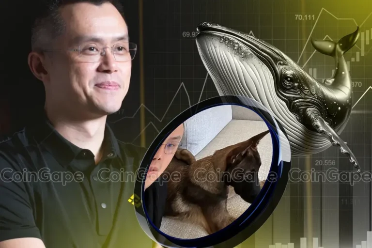 Crypto Whale Bets Big On Binance founder Changpeng Zhao CZ's Dog, BROCCOLI Price Rockets 160%