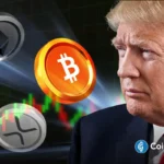 Why Bitcoin, Ethereum and XRP Could Benefit from Trump's $5000 Midterms Dividend