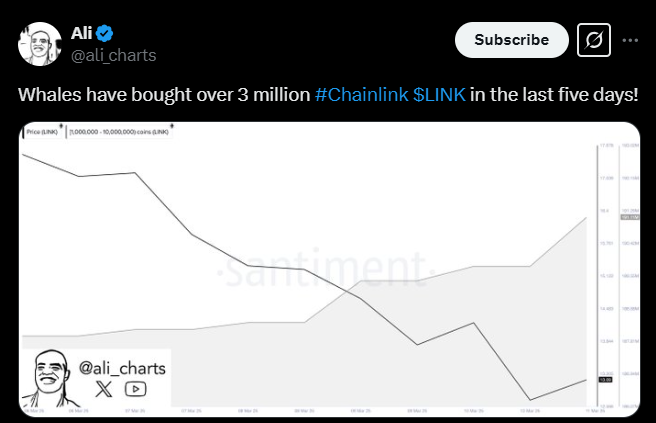 LINK Whale