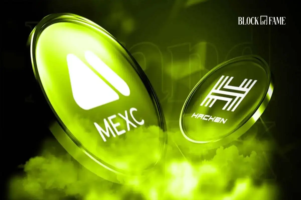 NFT Transactions to Become Human-Readable After Noves-Mint Partnership