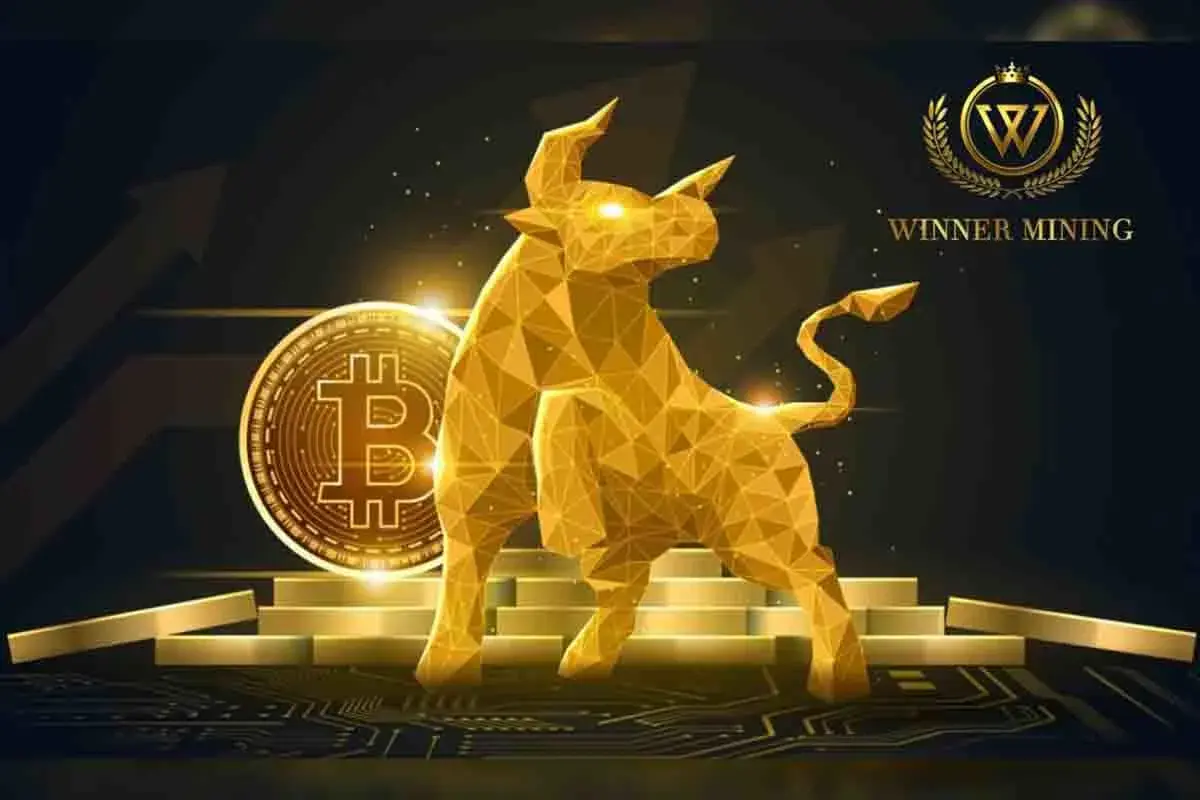 winnermining