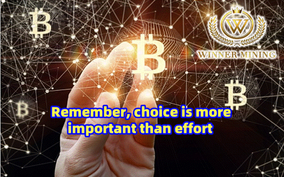 WinnerMining