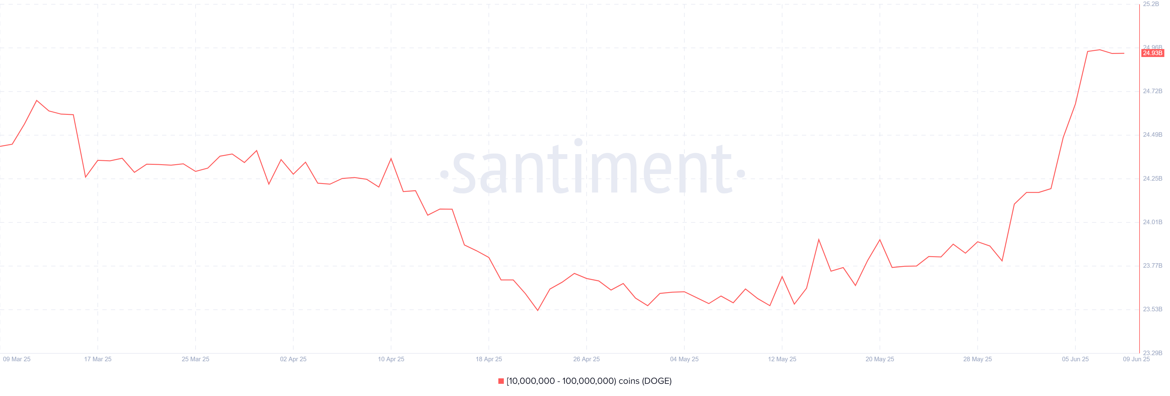 Dogecoin Price Eyes Gains As Whales Scoop 1.1B DOGE