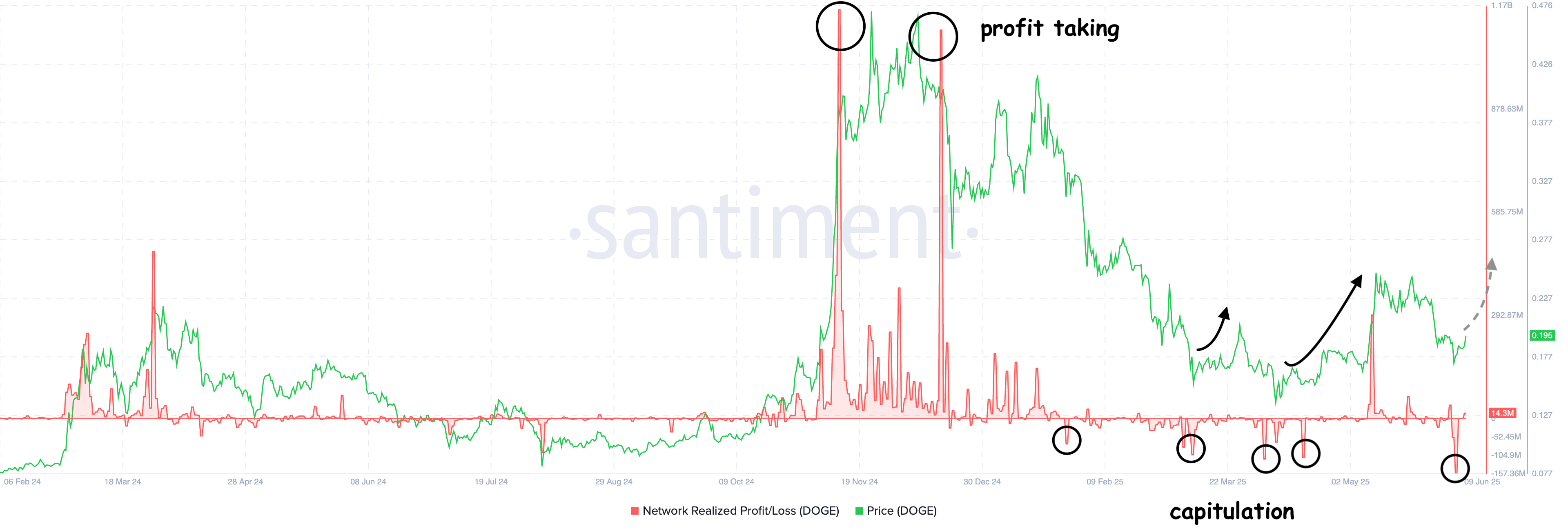 Dogecoin Price Analysis as Holders Sell 155M at a Loss