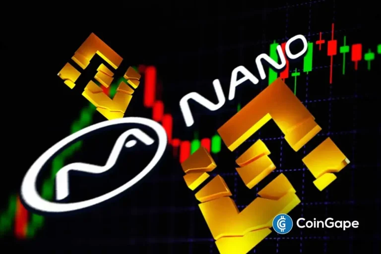 An image to describe Nano Labs BNB Treasury