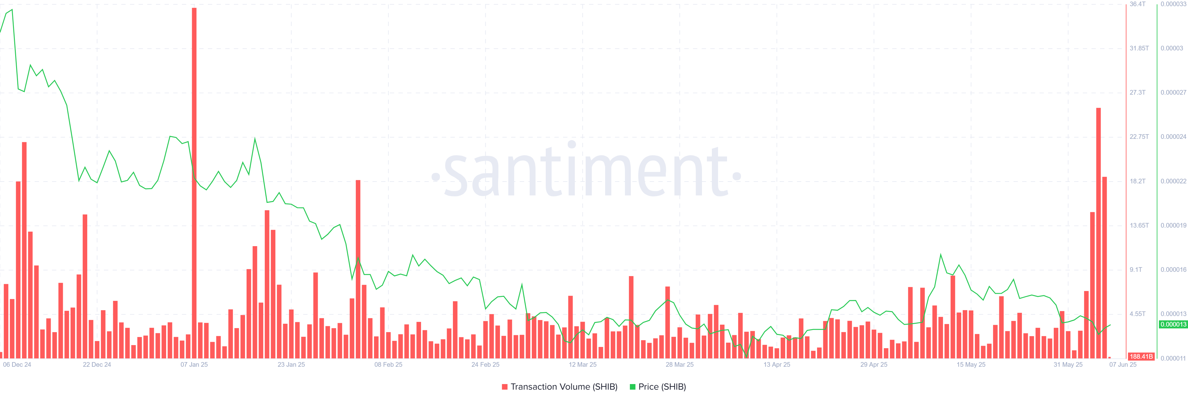 Shiba Inu Price Impact as Transaction Volumes Surge 