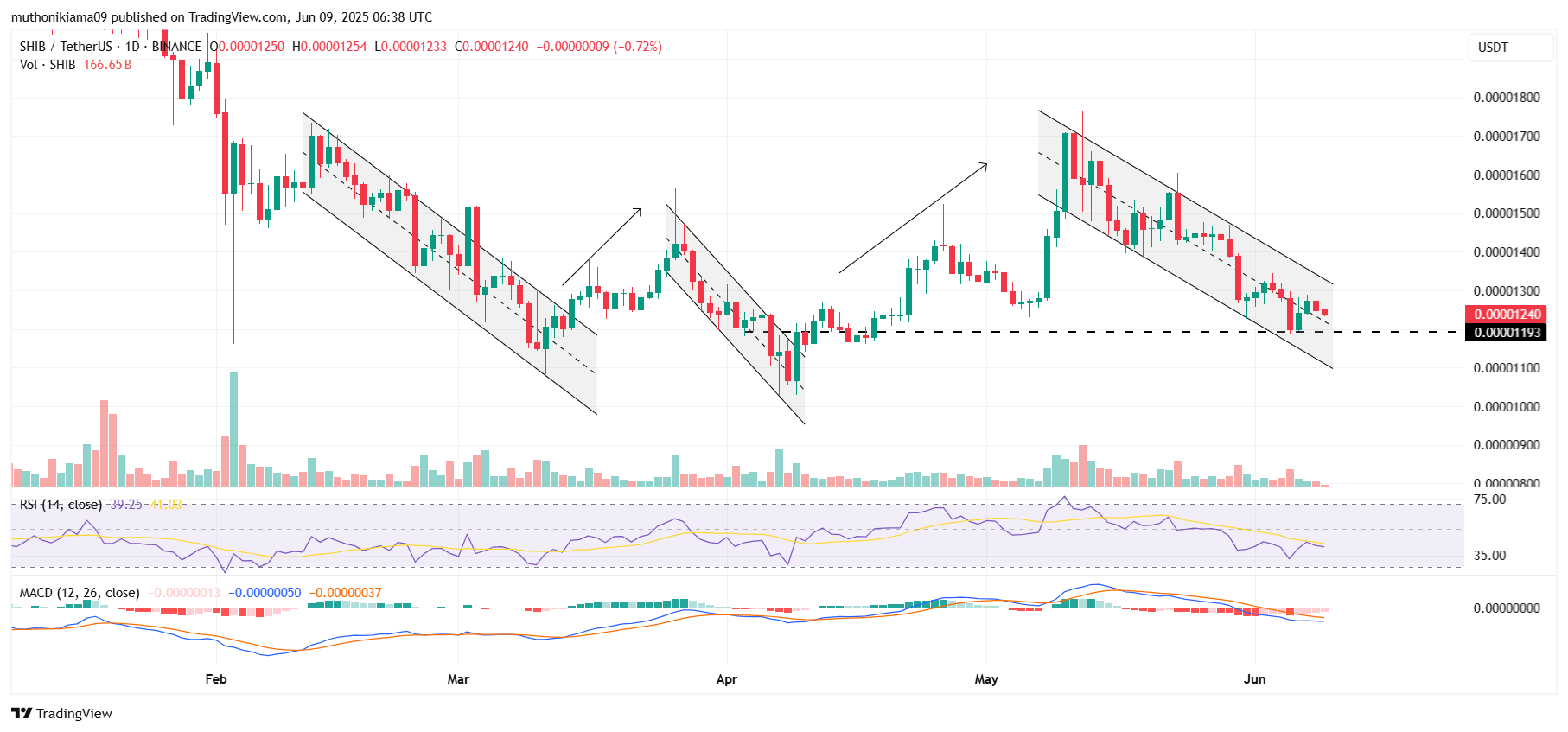Shiba Inu Price Analysis Amid $383K Liquidations