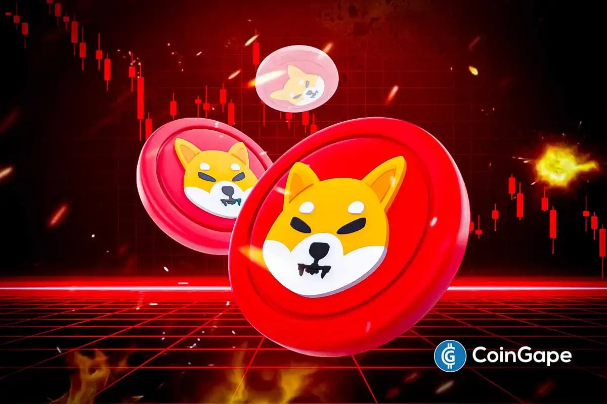 Shiba Inu Price Faces 50% Drop Amid Bearish Signals