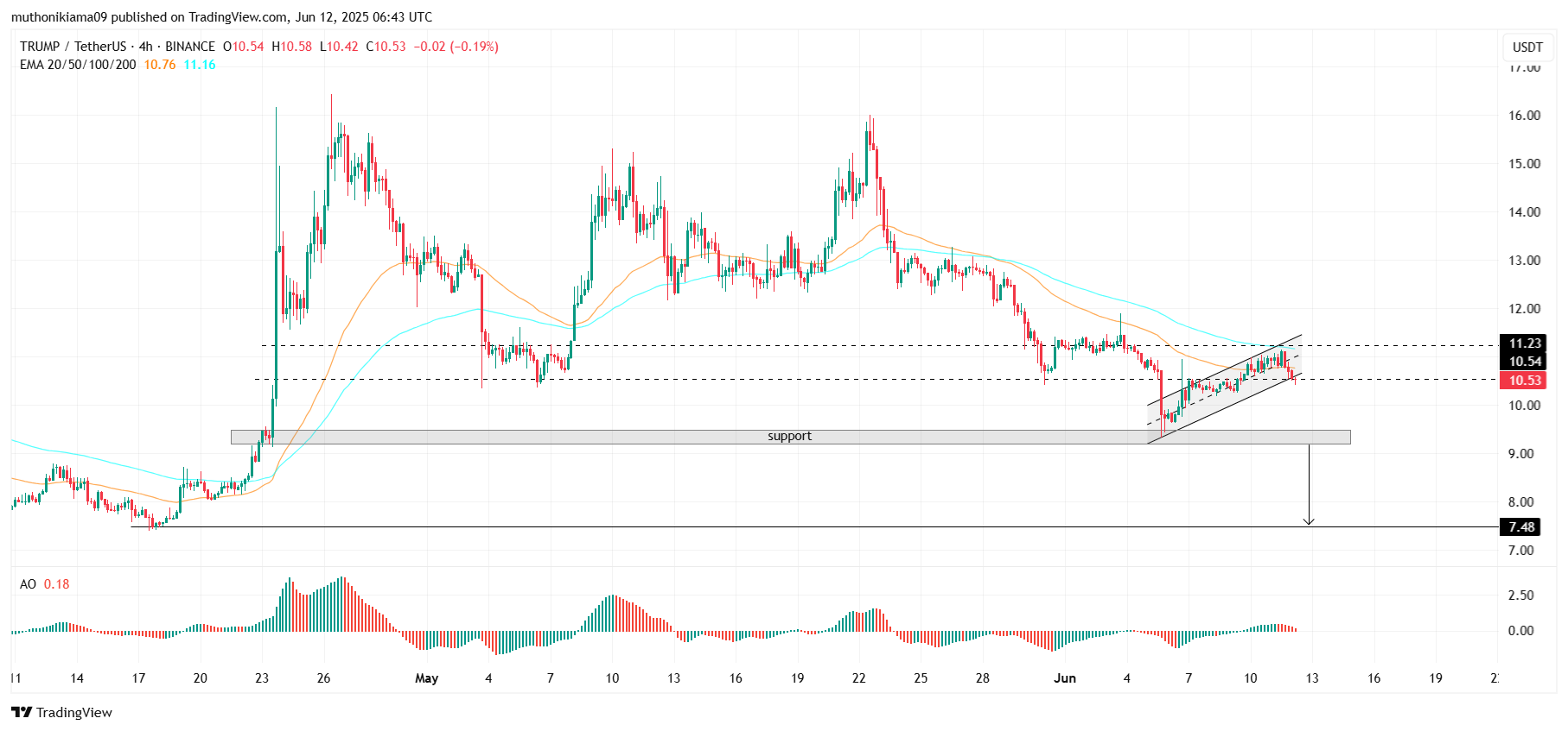 Is Trump Coin Price Facing a 30% Crash After Beasih Breakout?