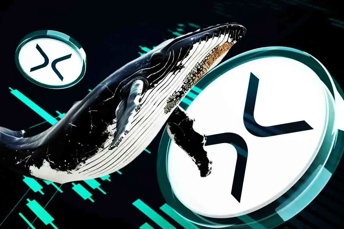 Can XRP Price Recover as Whales Accumulate Despite Death Cross?