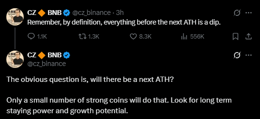 Binance CEO comments on Dip